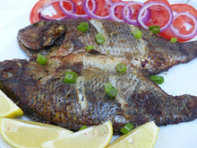 Load image into Gallery viewer, apple of Global harvest of tilapia in million tonnes new
