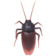 Load image into Gallery viewer, Remote Control Cockroach Toy